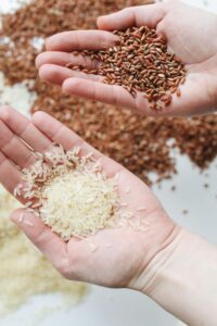 7 types of nutrition
